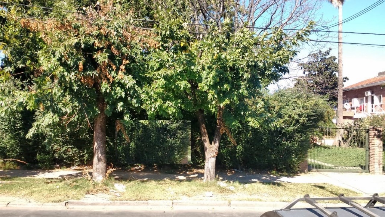 LOTE MUÑOZ CASI 1RA JUNTA- SAN MIGUEL